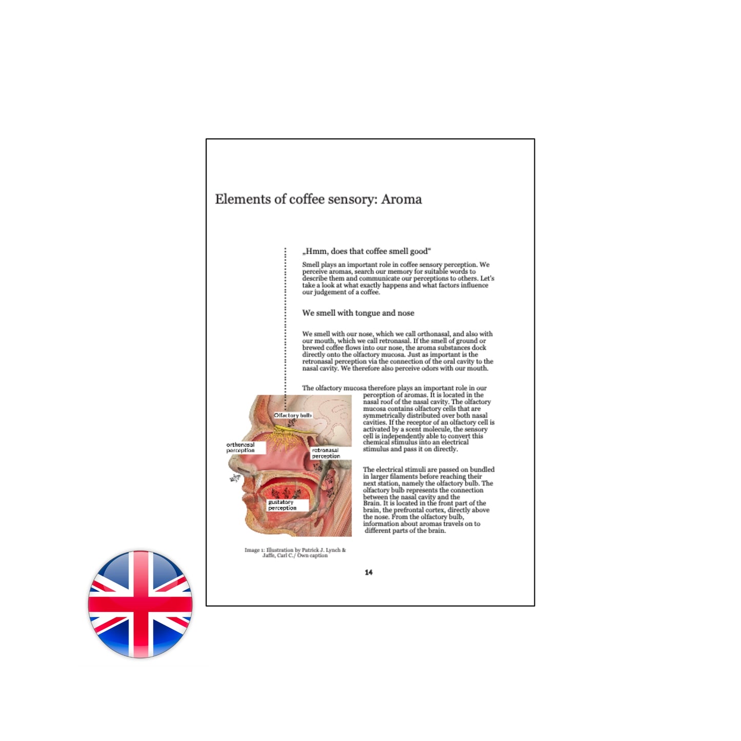 Becoming a better cuptaster Digital PDF